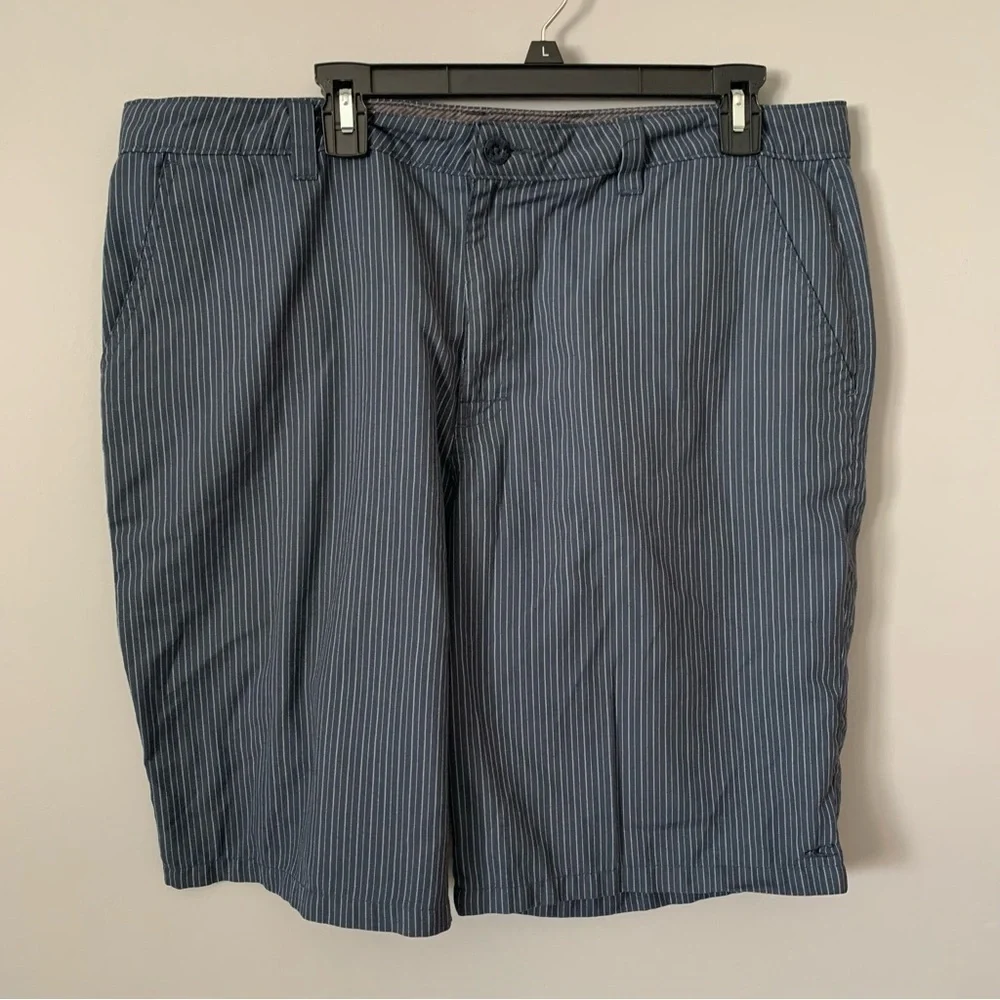 O’Neill Men's Striped Blue Shorts